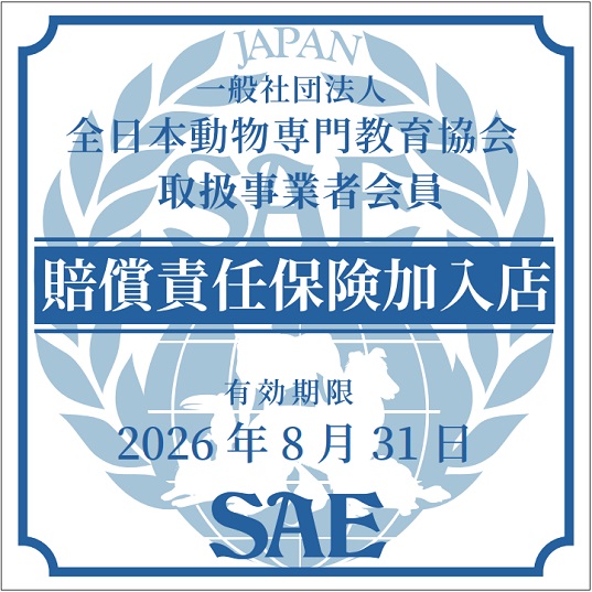 事業者向け賠償責任保険